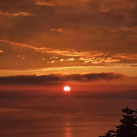 Apartment Rafi Vendeghaz