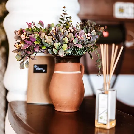 Apartment Rafi Vendeghaz *