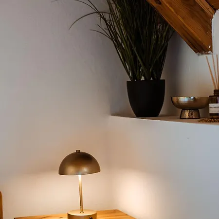 Apartment Rafi Vendeghaz *