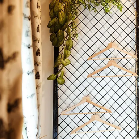 Rafi Vendeghaz * Badacsonytomaj