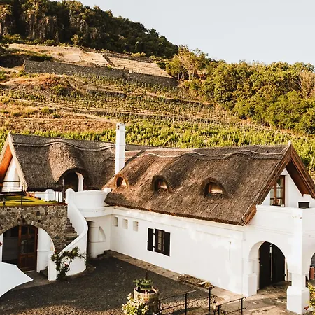 Apartment Rafi Vendeghaz *