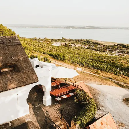 Apartment Rafi Vendeghaz *