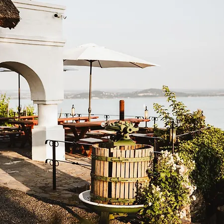 Apartment Rafi Vendeghaz