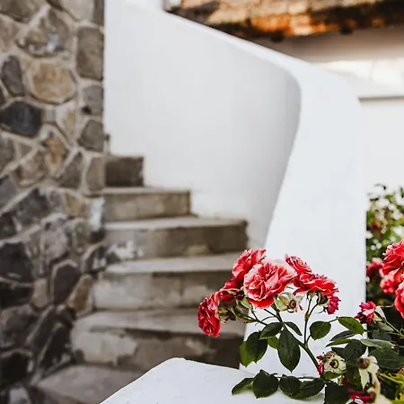 Apartment Rafi Vendeghaz Badacsonytomaj